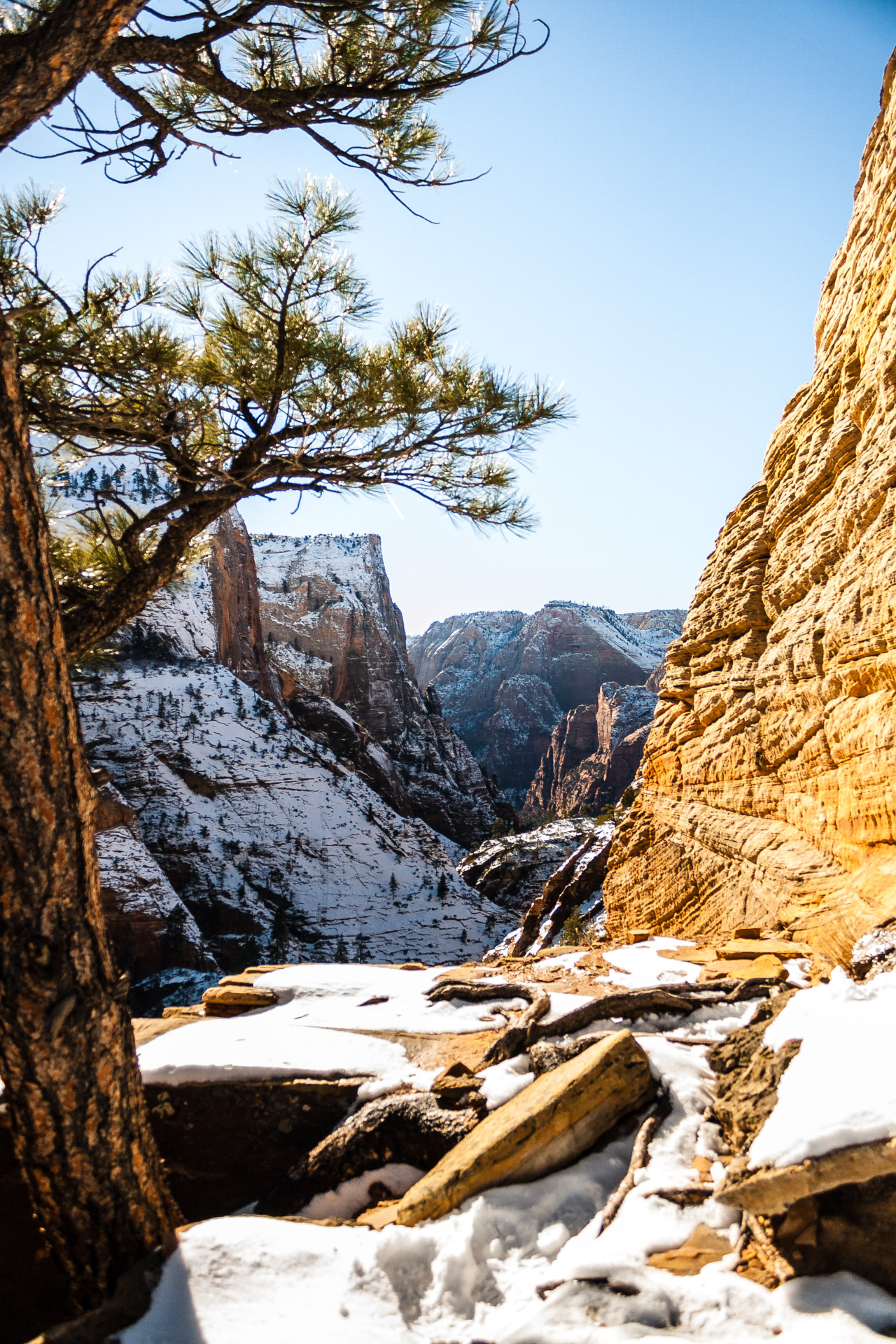 Winter Zion (13)