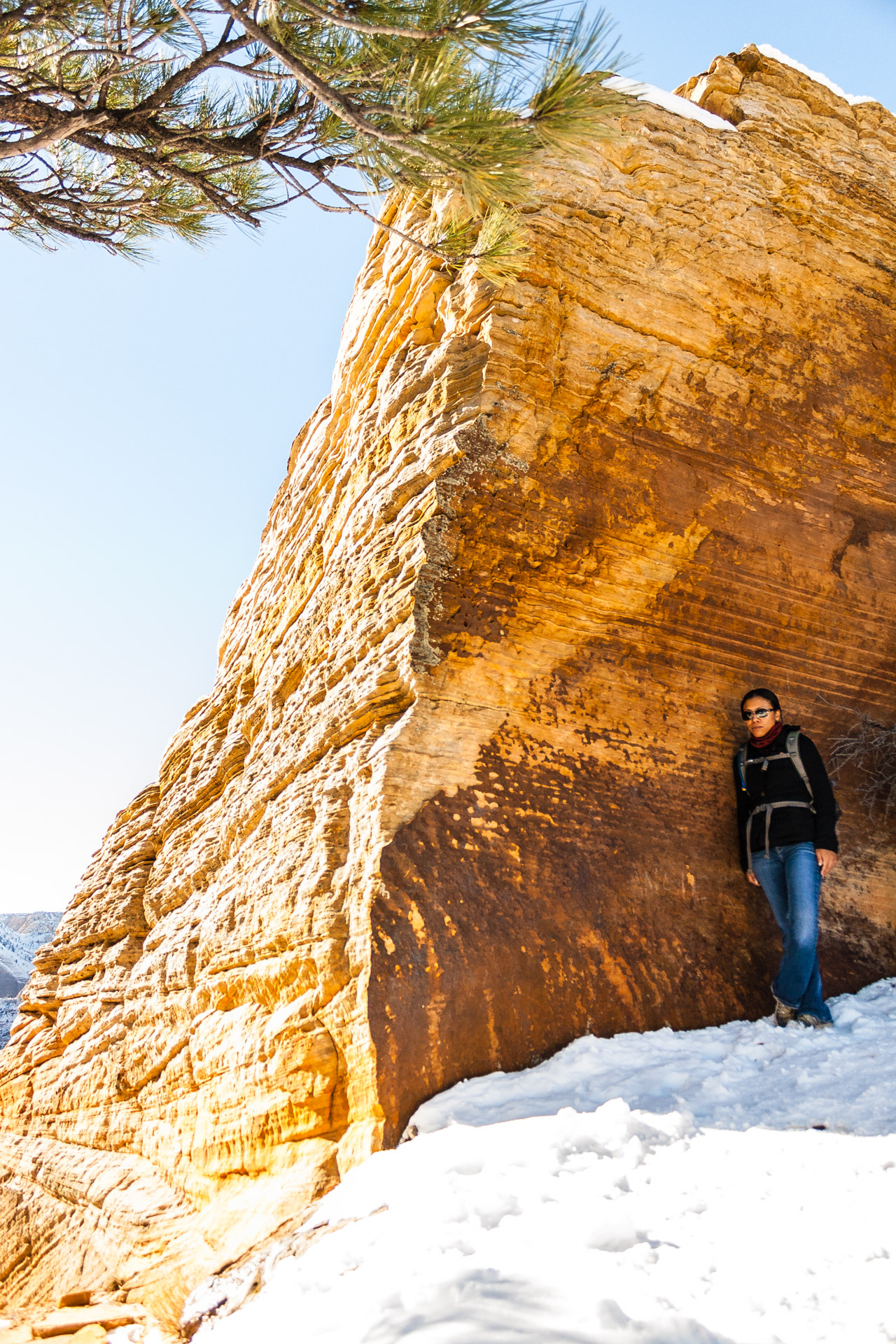 Winter Zion (14)