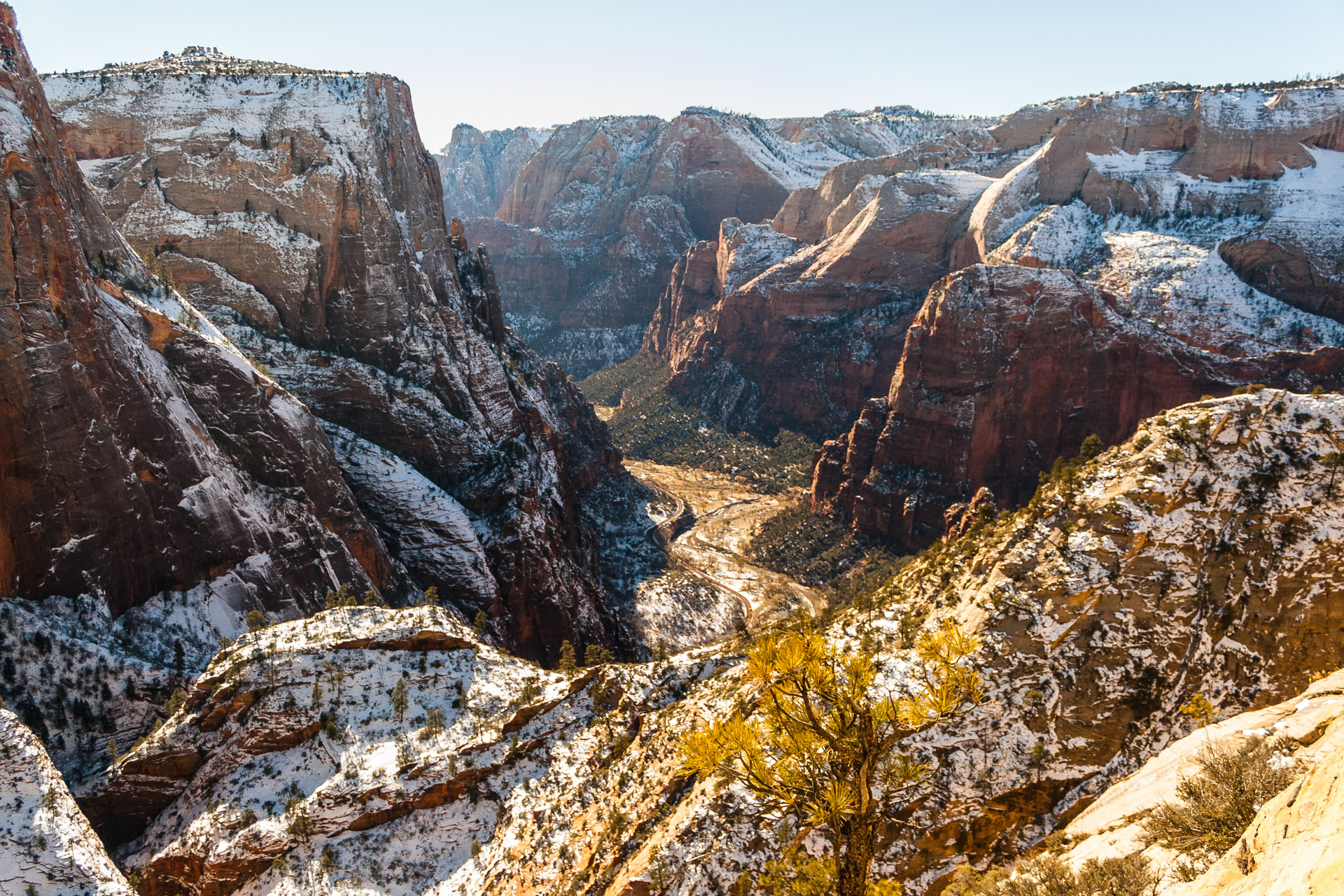 Winter Zion (15)