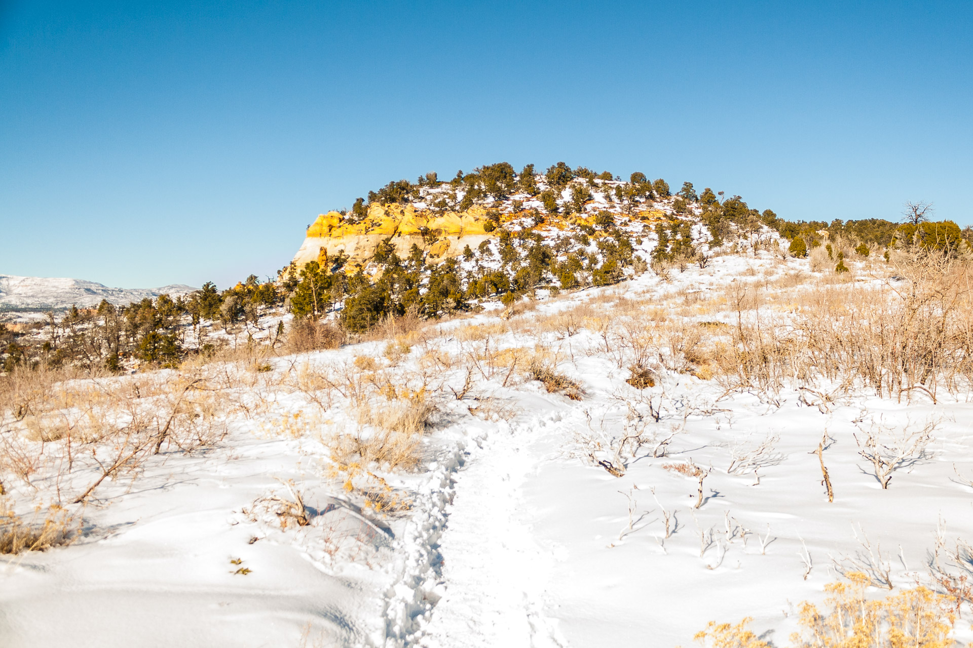 Winter Zion (19)