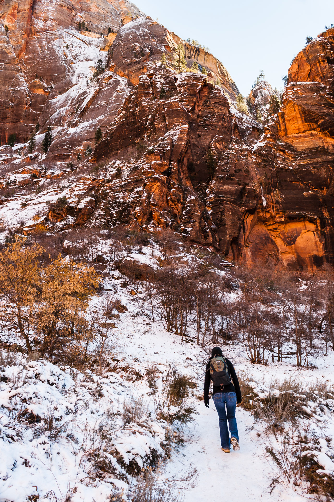 Winter Zion (2)