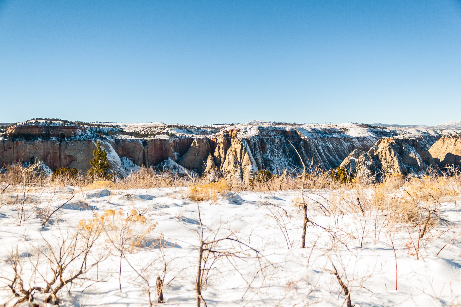 Winter Zion (20)