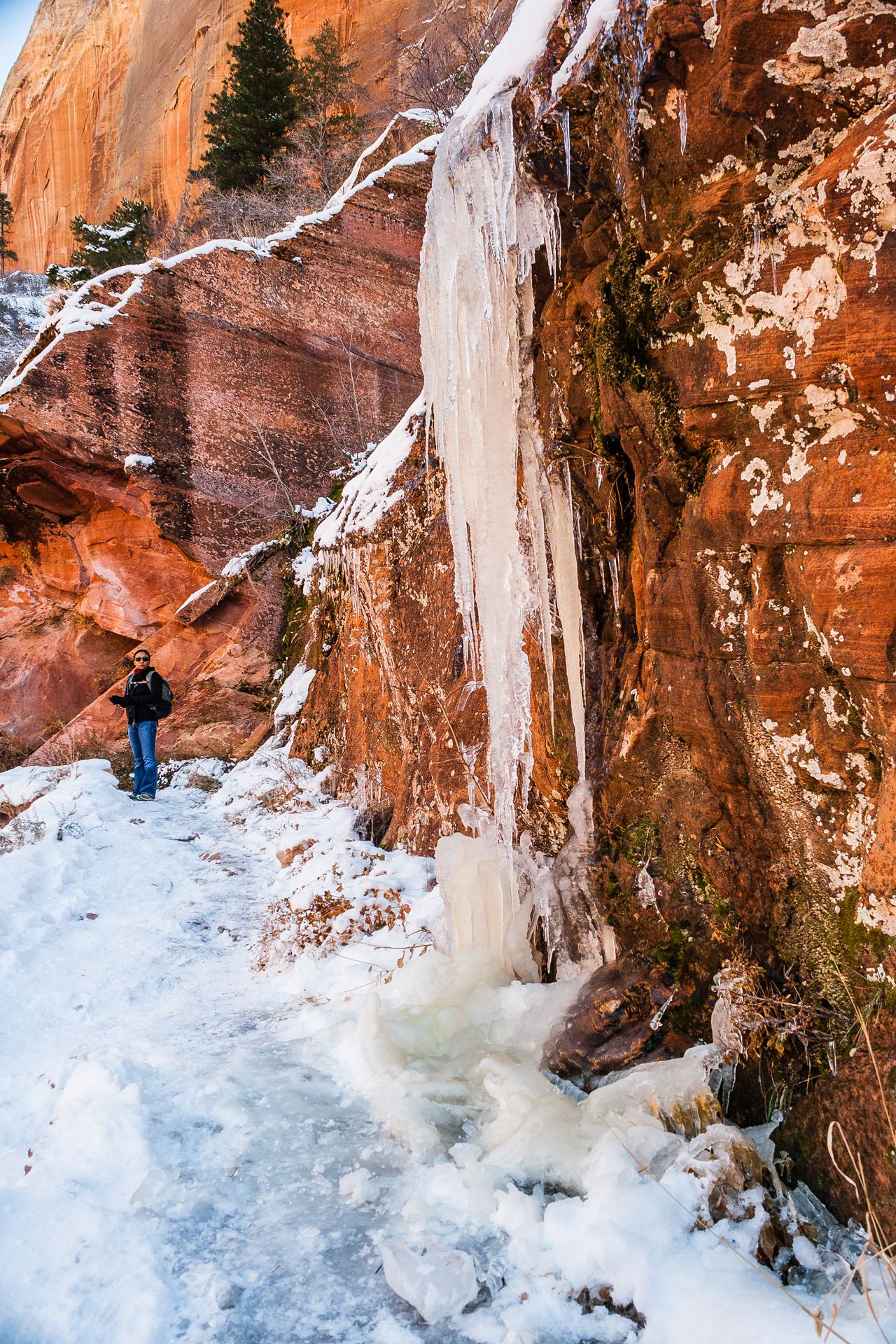 Winter Zion (4)