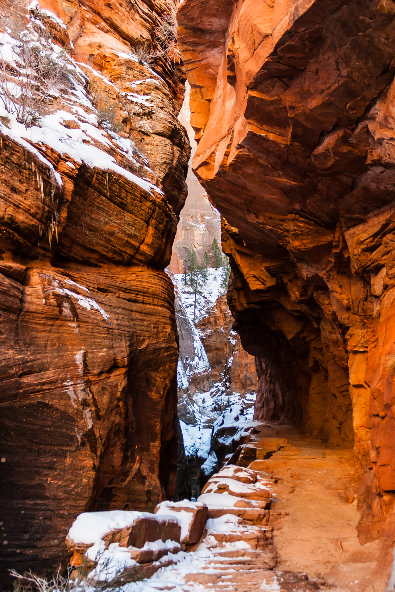 Winter Zion (9)