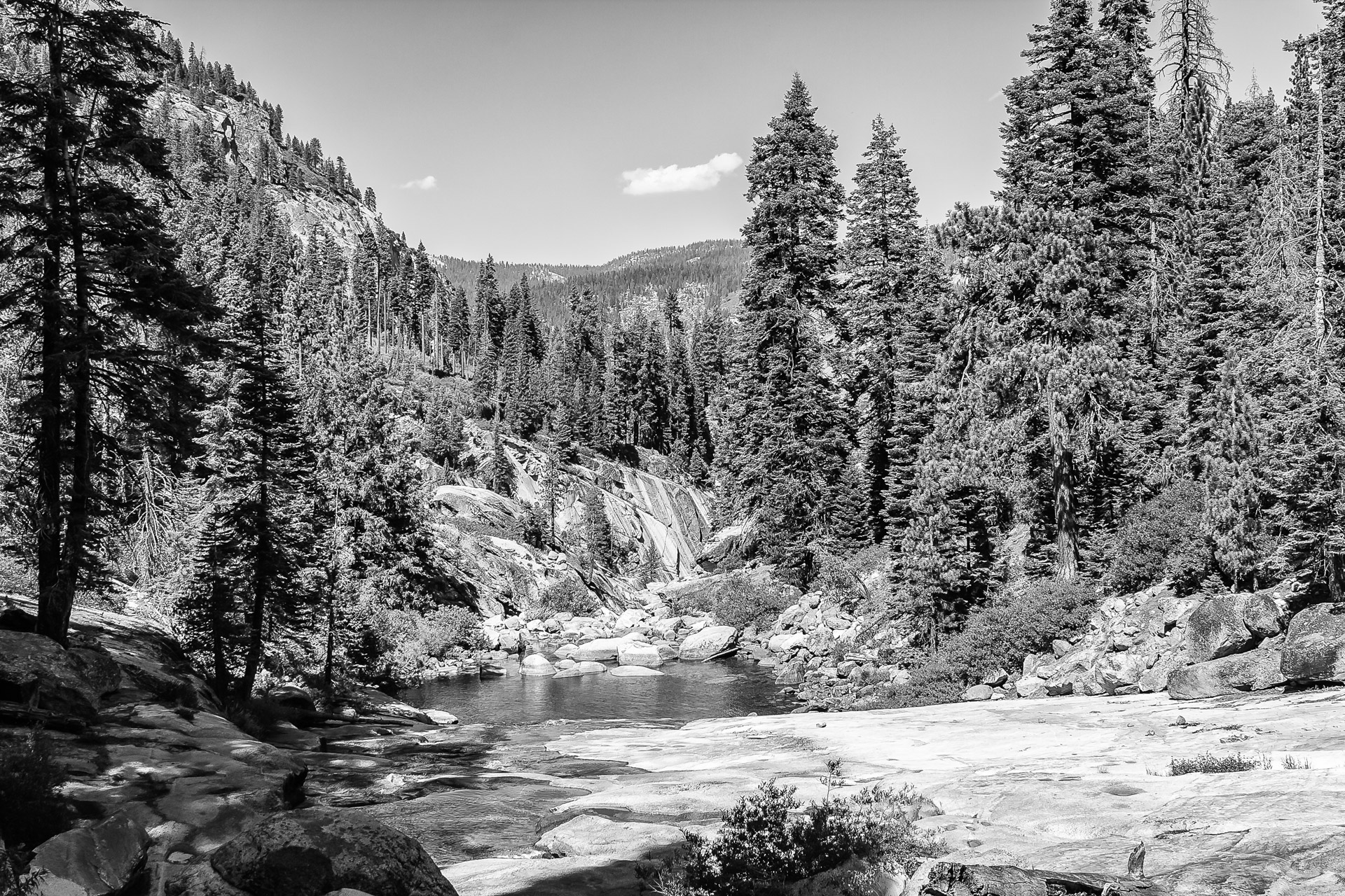 Yosemite BW (13)