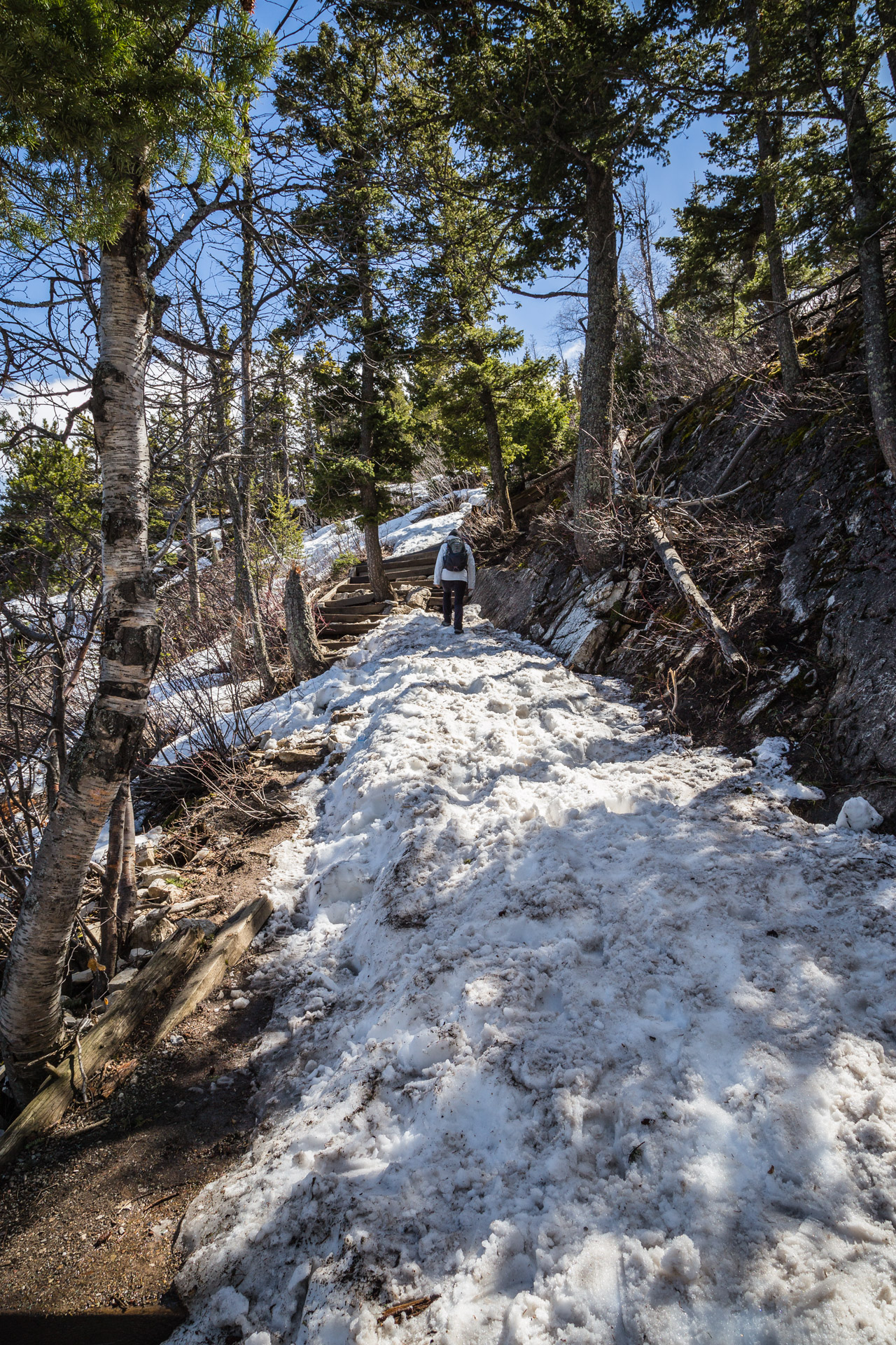 Bears Hump (trail 5)