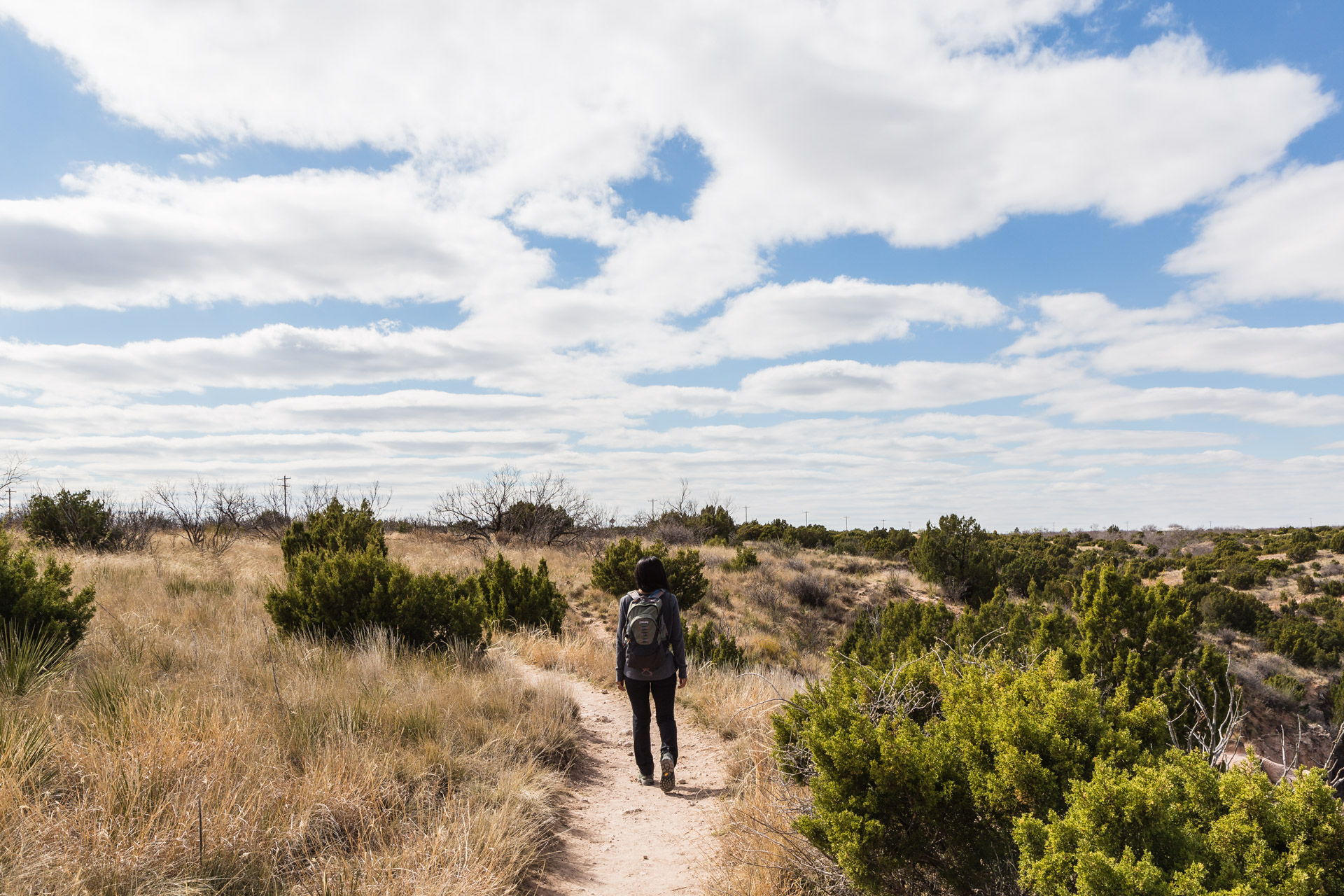 Hiking For The Views (trail top)