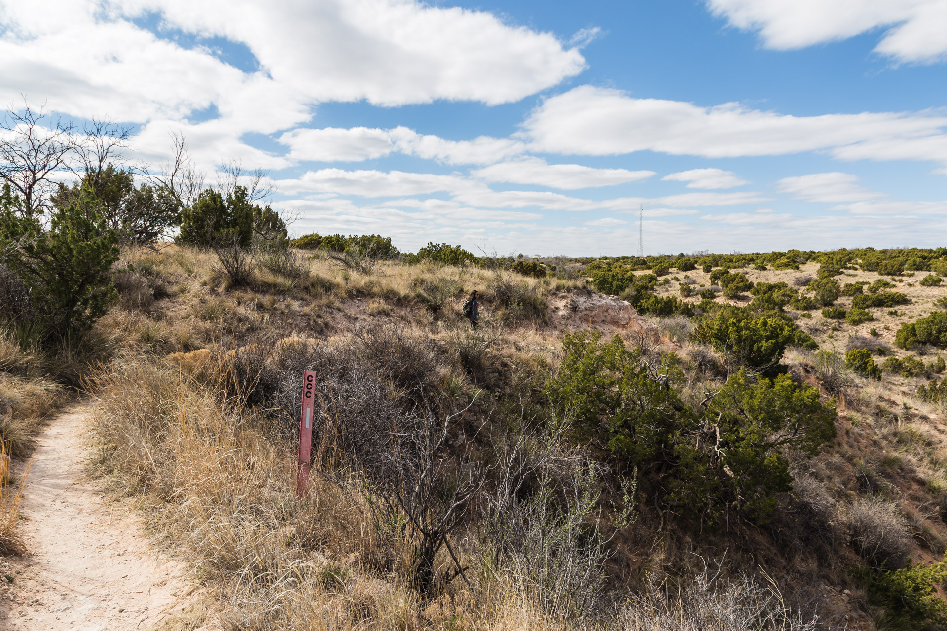 Hiking For The Views (trail top 2)