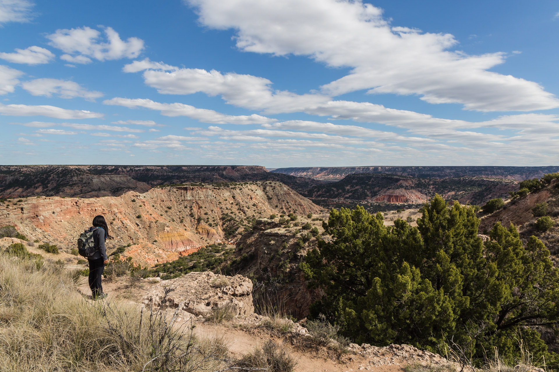 Hiking For The Views (trail top 3)