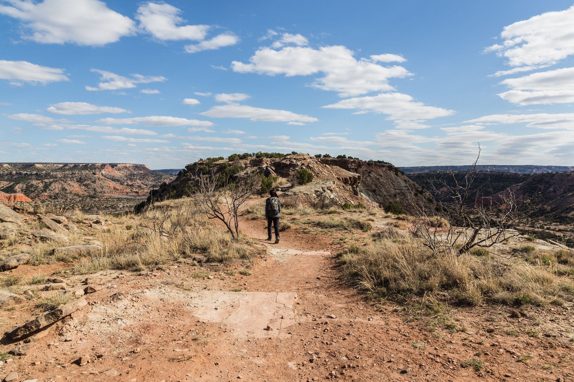 Hiking For The Views (trail top 5)