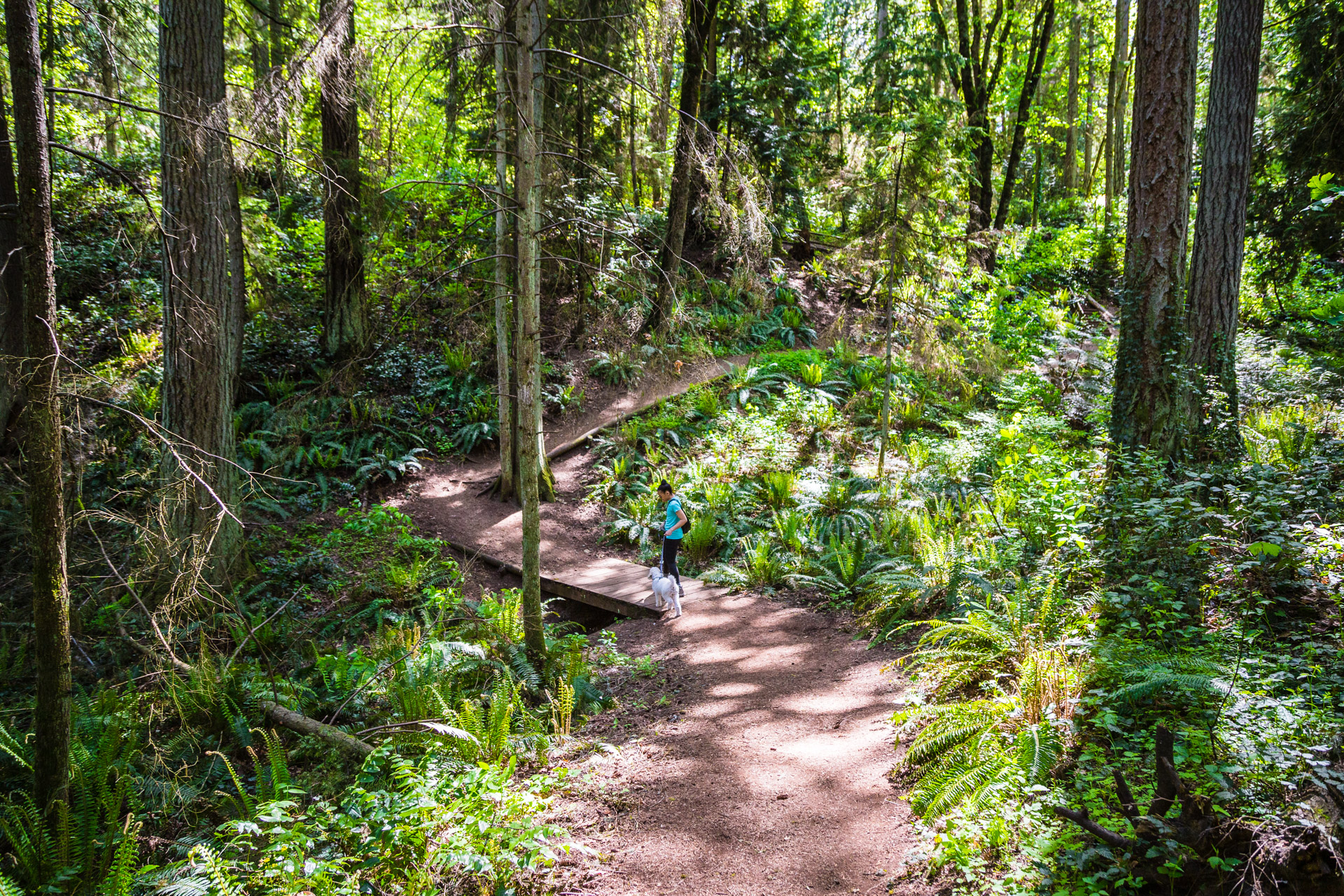 Introducing Prana To Hiking At An Urban Forest In Bellevue - Roadesque