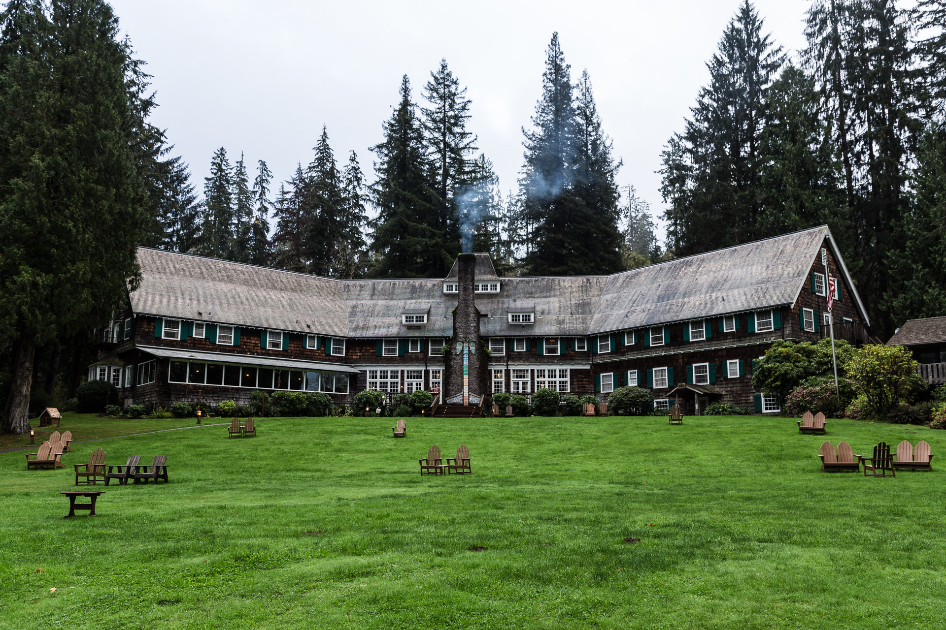 Lake Quinault (lawnDay)