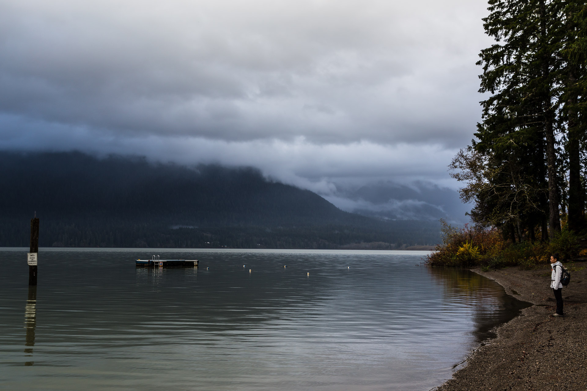 Lake Quinault (side lake day)