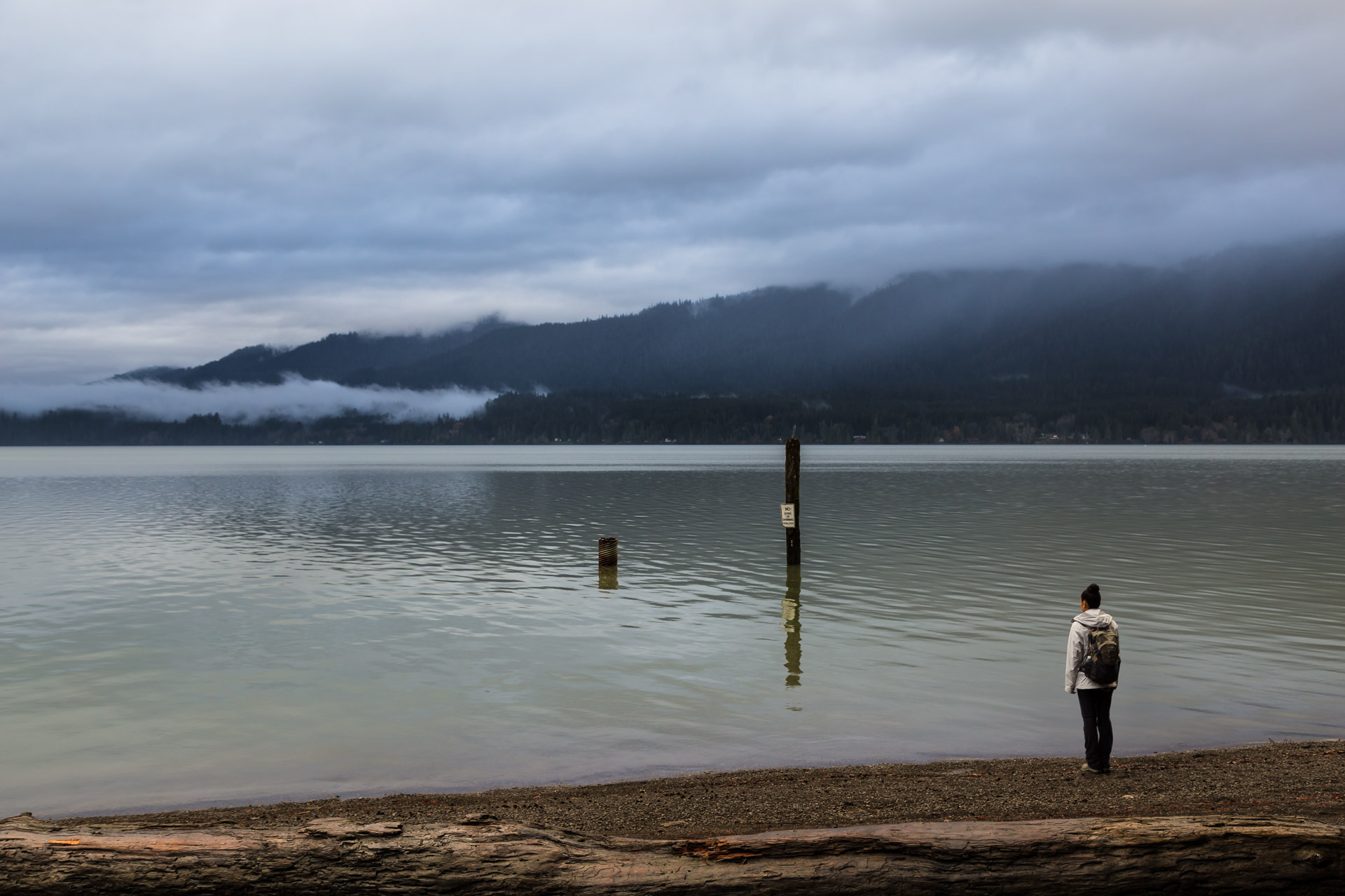 Lake Quinault (side lake day 2)