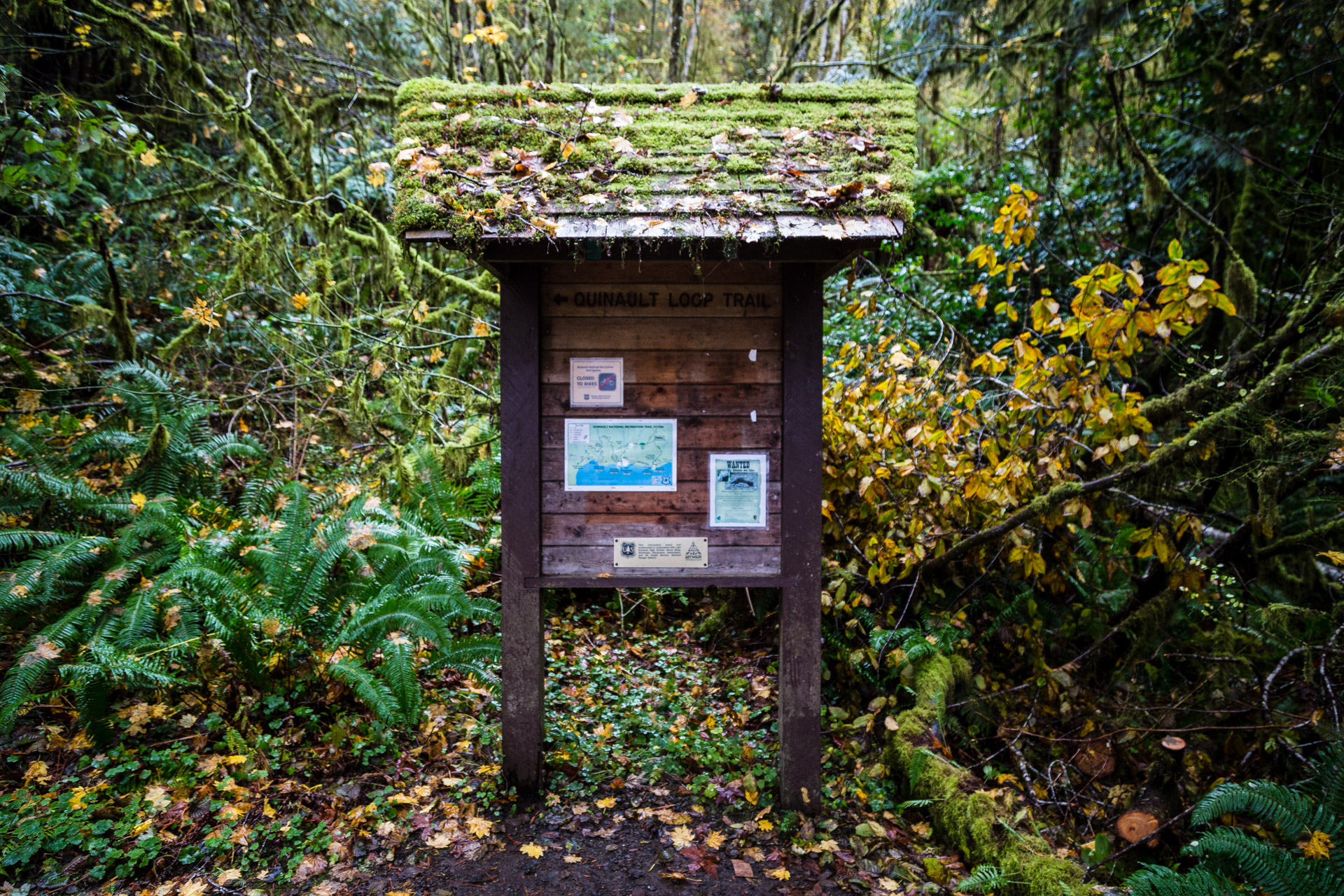 Lake Quinault (trail sign)