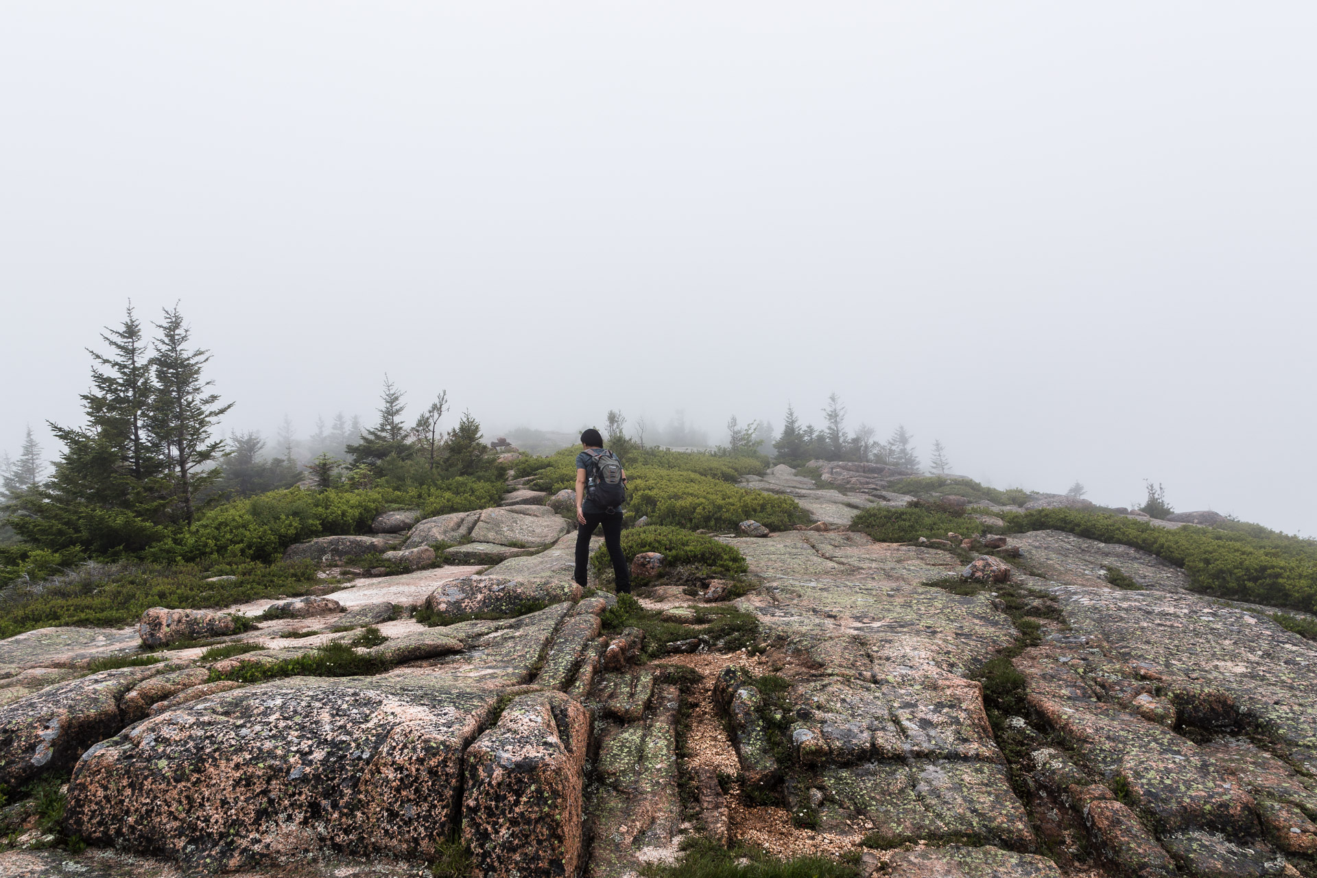 Acadia Day Two (16)