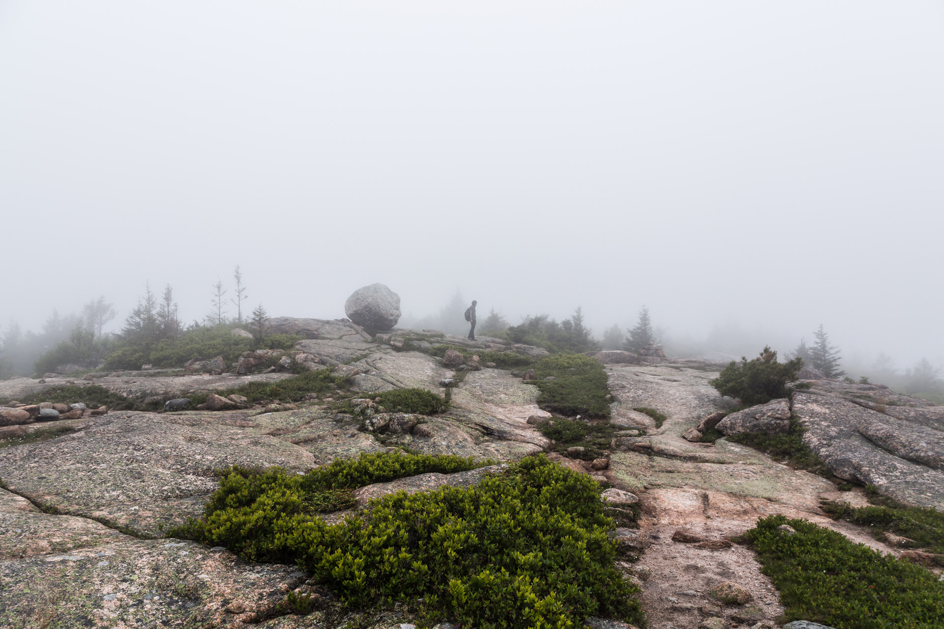 Acadia Day Two (24)