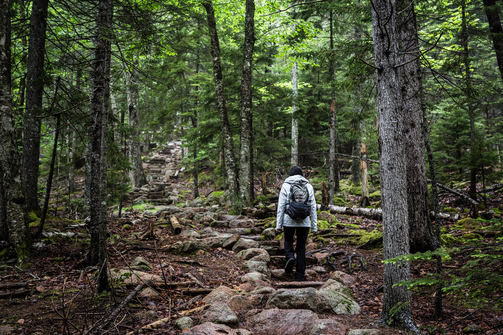 Penobscot Mountain To Sargent Mountain At Acadia National Park