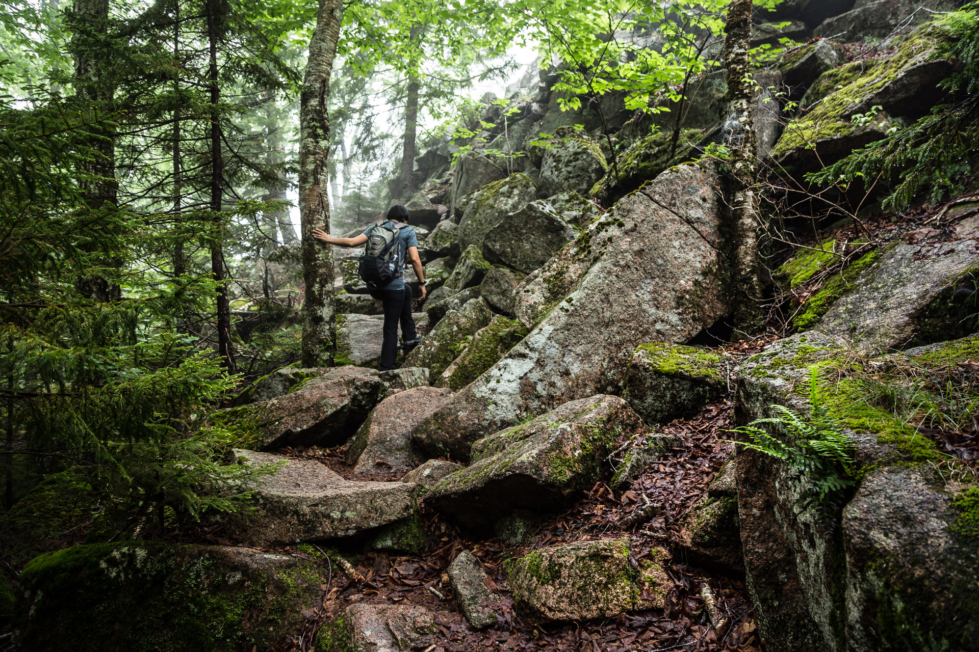 Acadia Day Two (5)