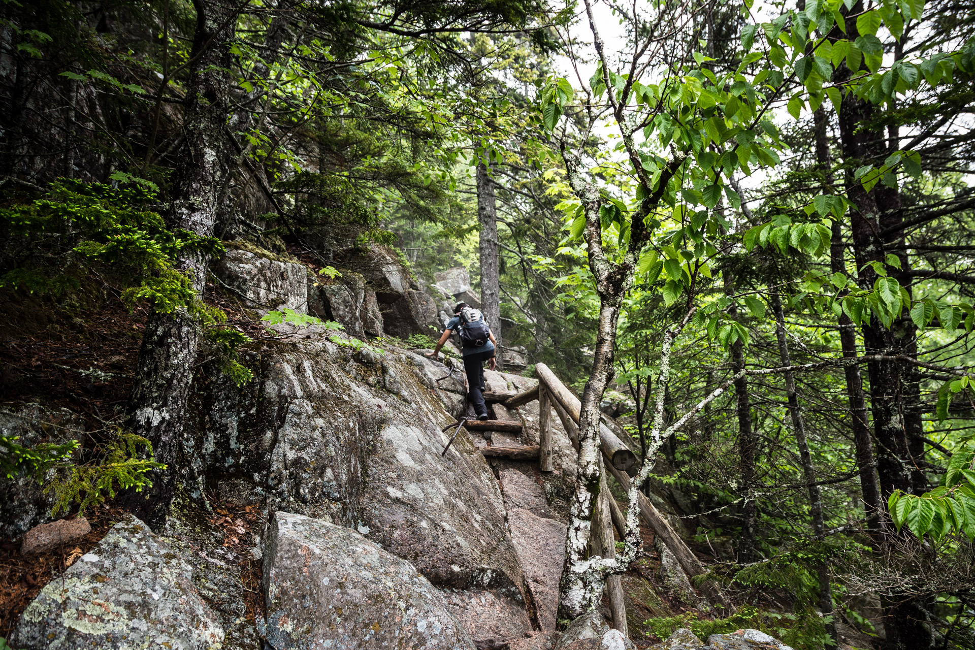 Acadia Day Two (6)