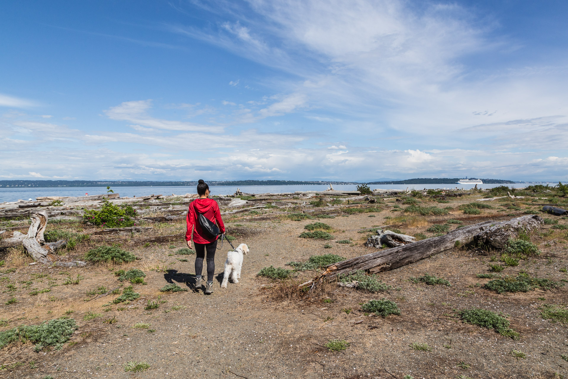 Prana's First Visit To A Beach On Bainbridge Island