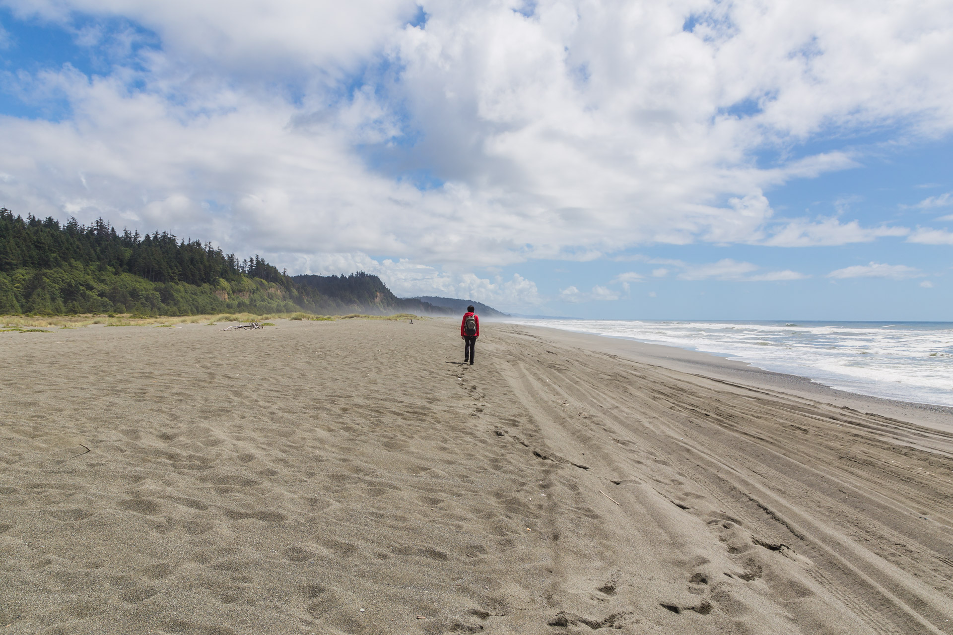 Redwoods State Park (36)