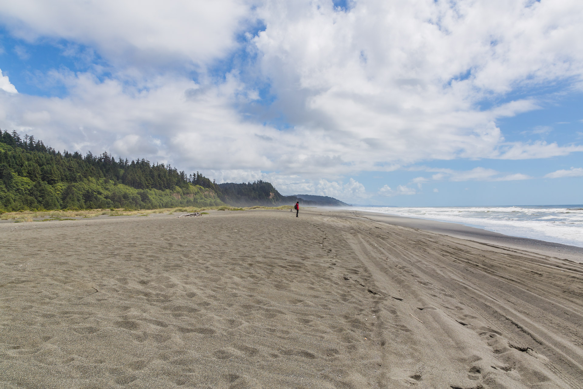 Redwoods State Park (39)