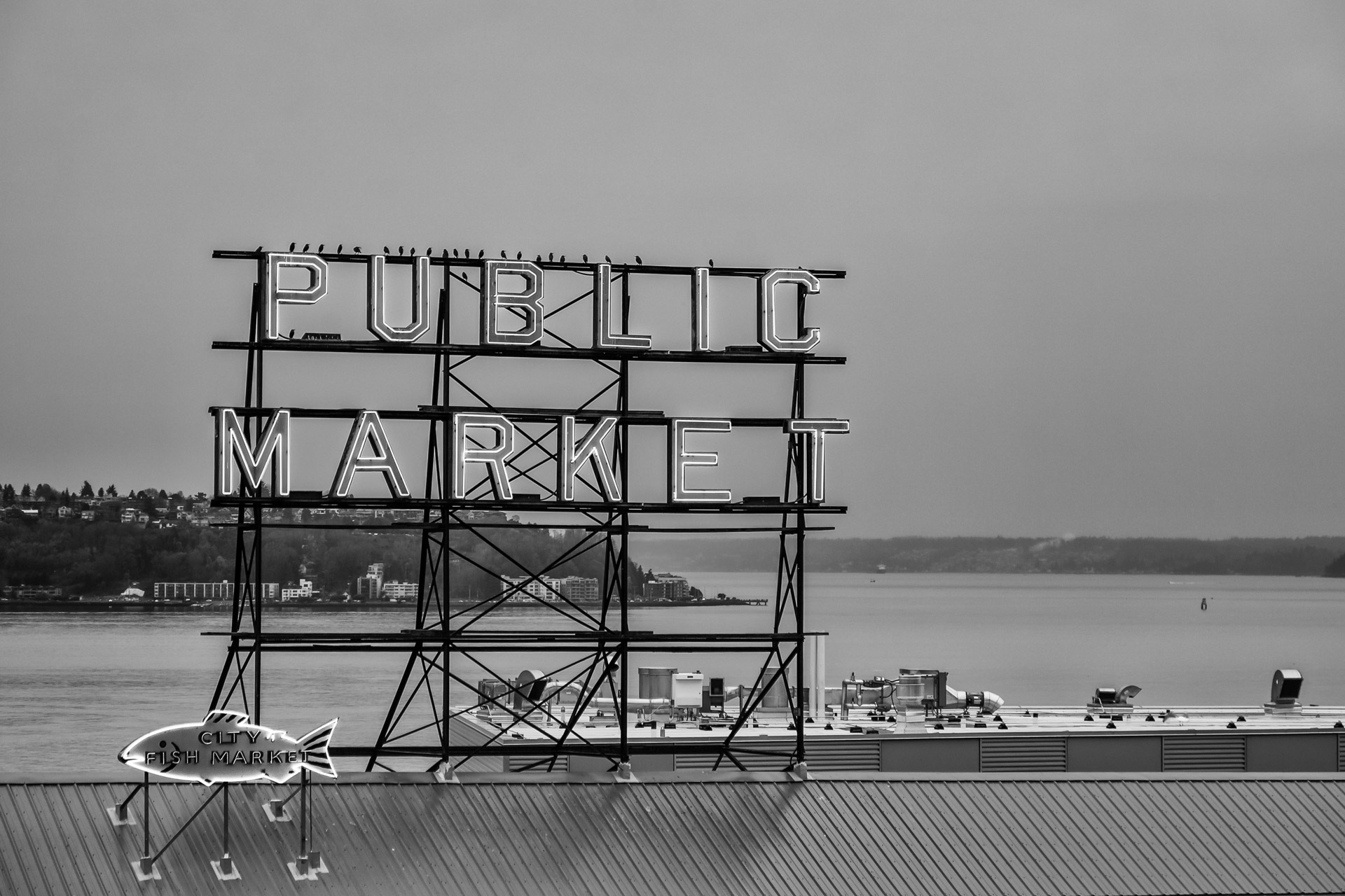 Seattle Black And White (4)
