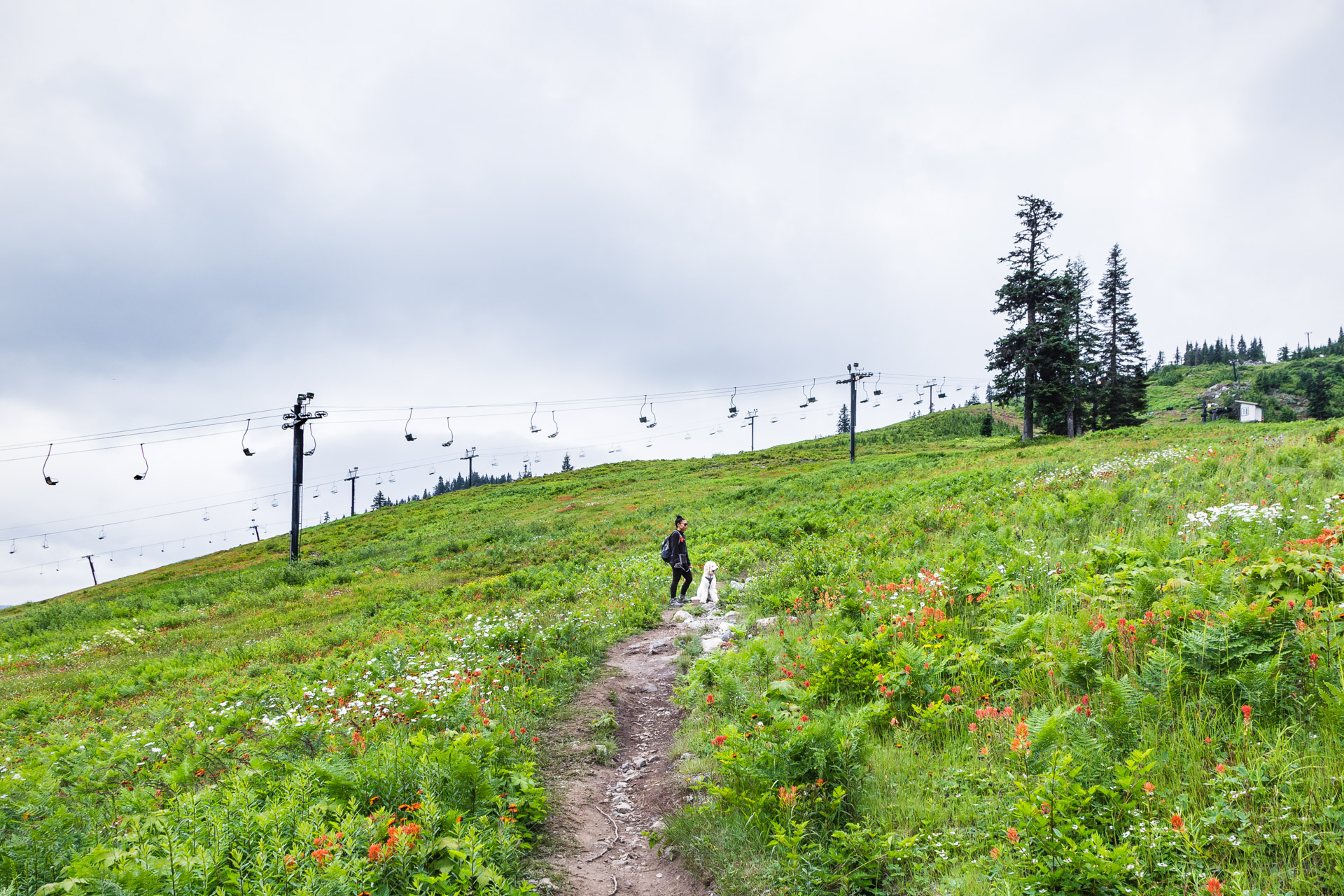 Ski Slope Hiking Near Snoqualmie Pass