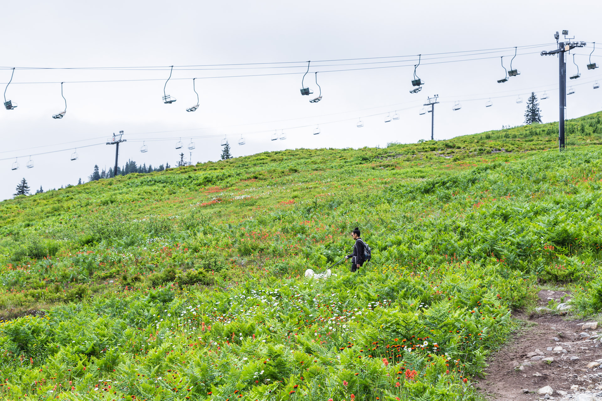 Ski Lift Snoqualmie (13)