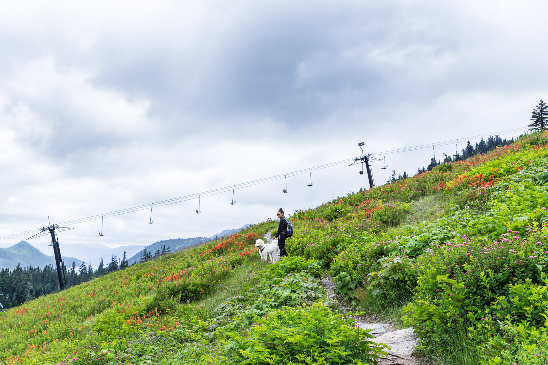 Ski Lift Snoqualmie (23)