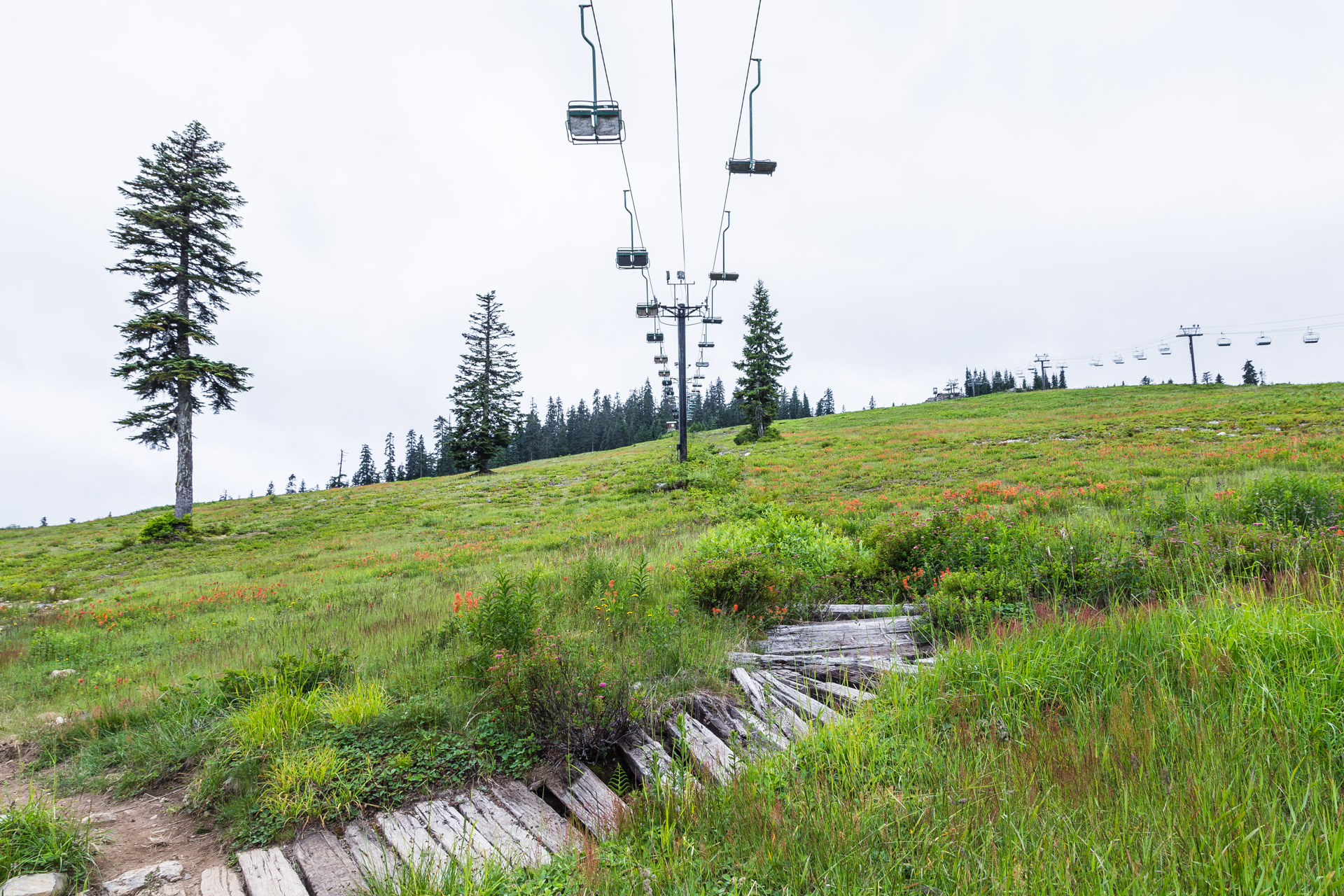 Ski Lift Snoqualmie (66)