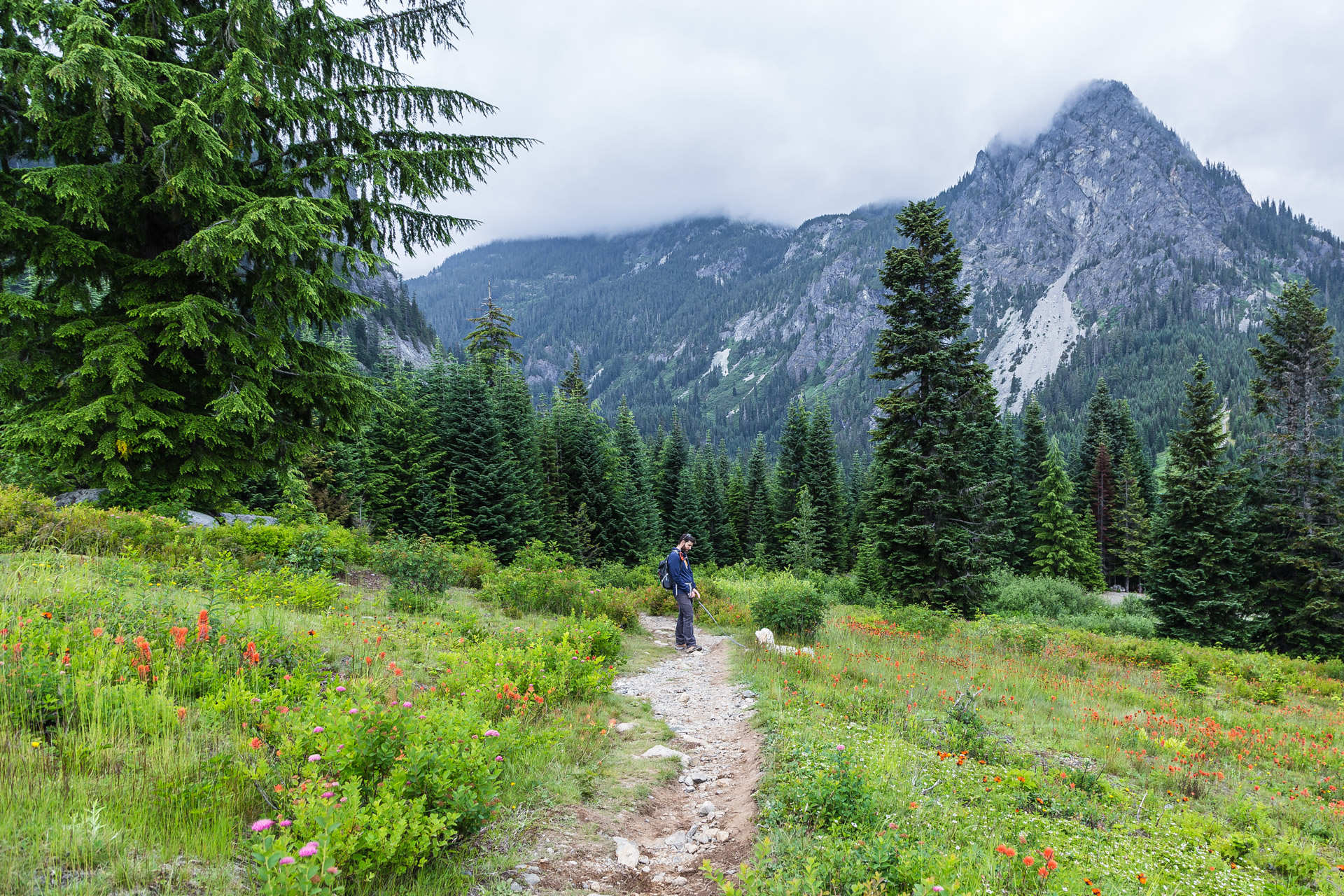 Ski Slope Hiking Near Snoqualmie Pass Roadesque