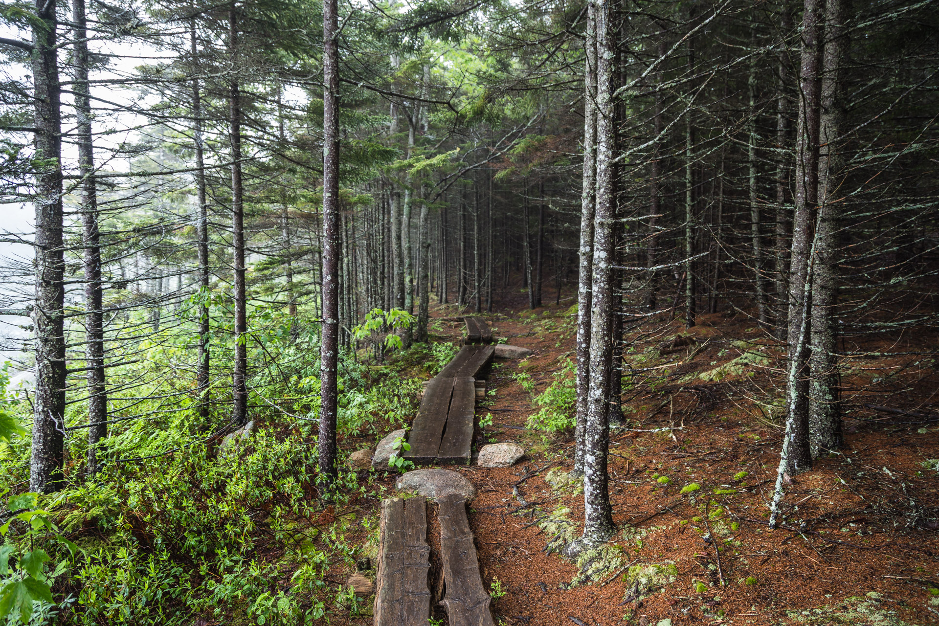 The Bowl At Acadia National Park - Roadesque