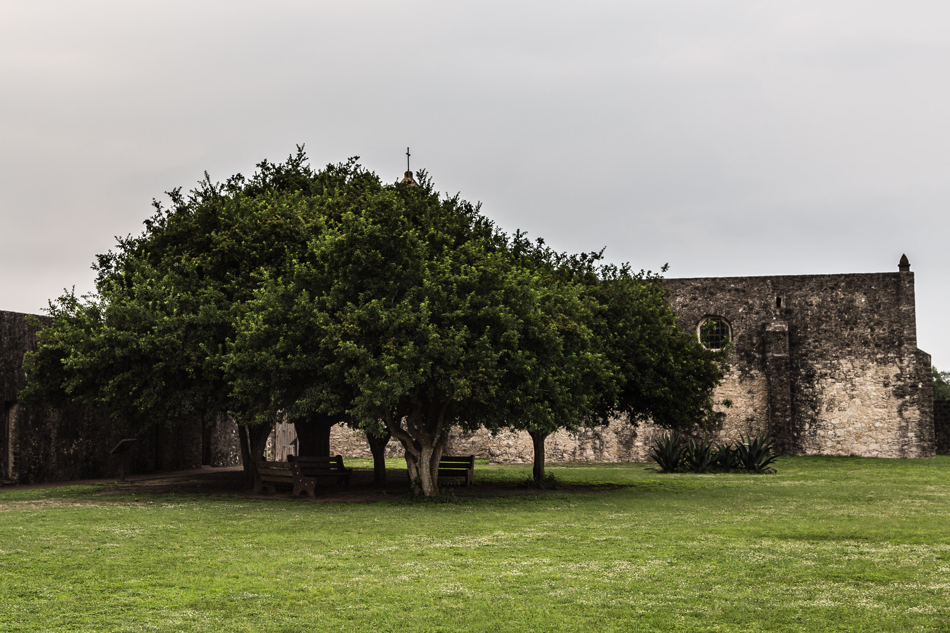 The Grounds (benches)