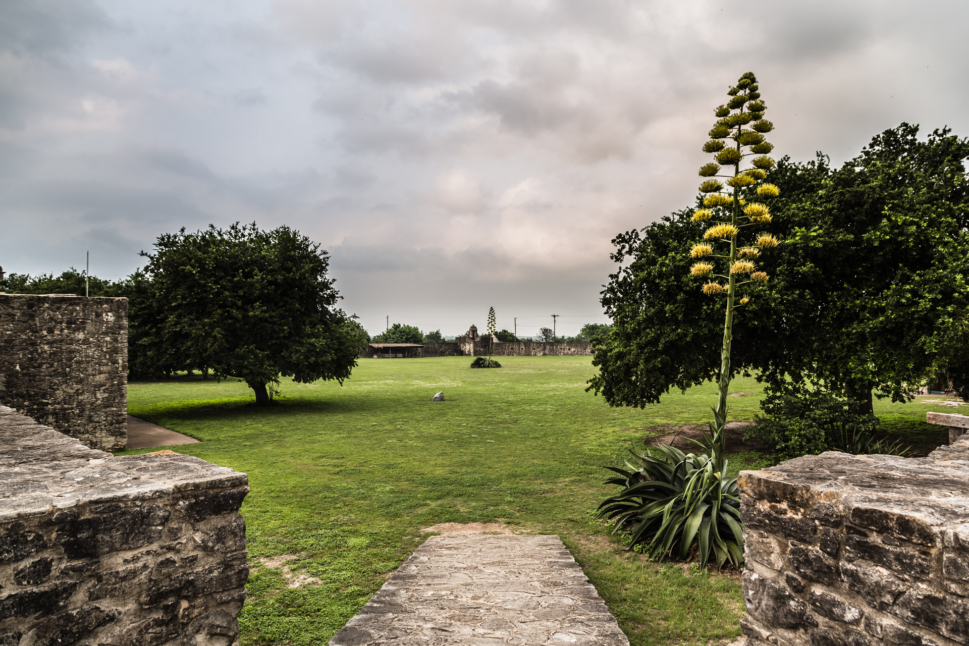 The Grounds (large courtyard far)