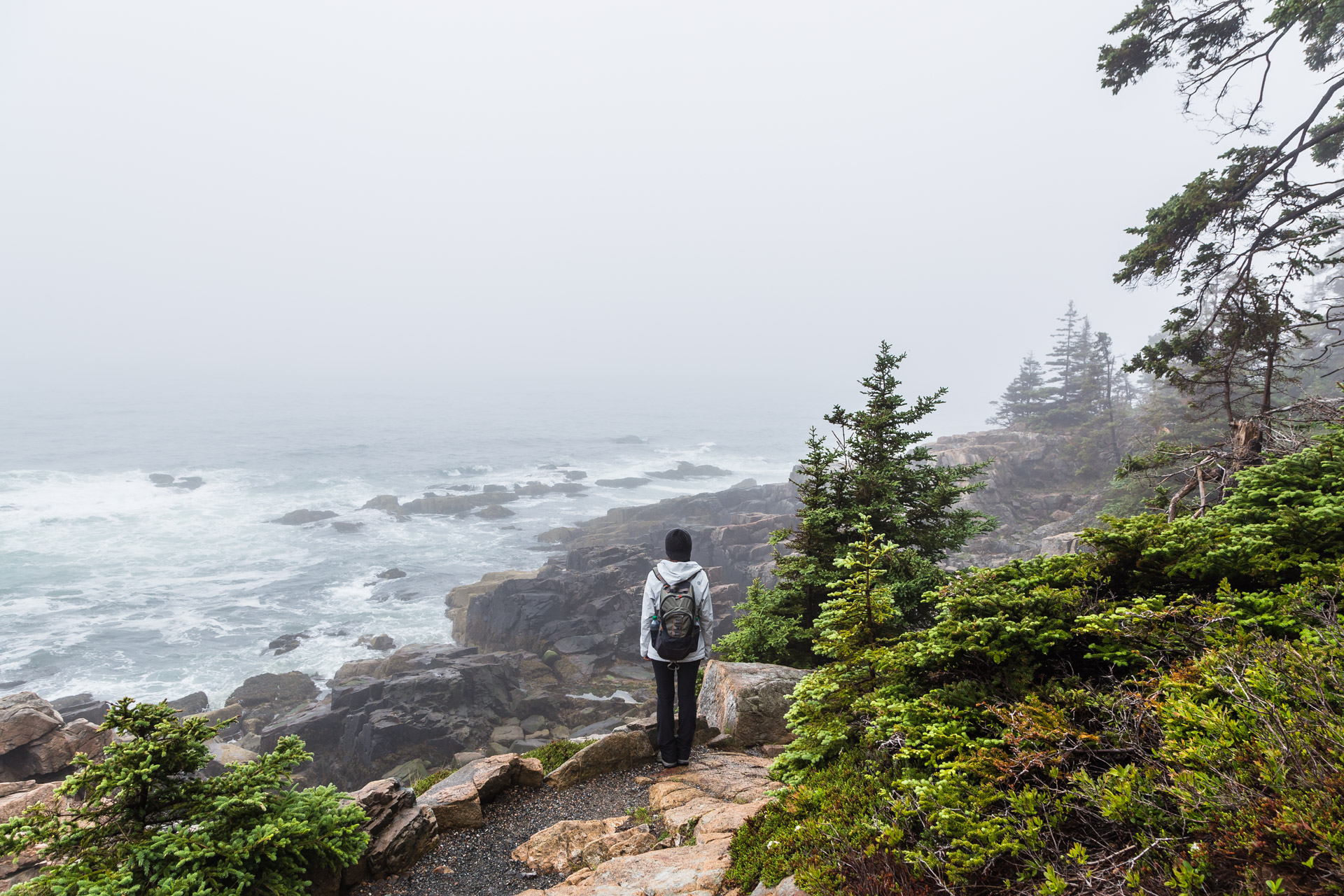 The Ocean Path Trail To Sand Beach At Acadia National Park