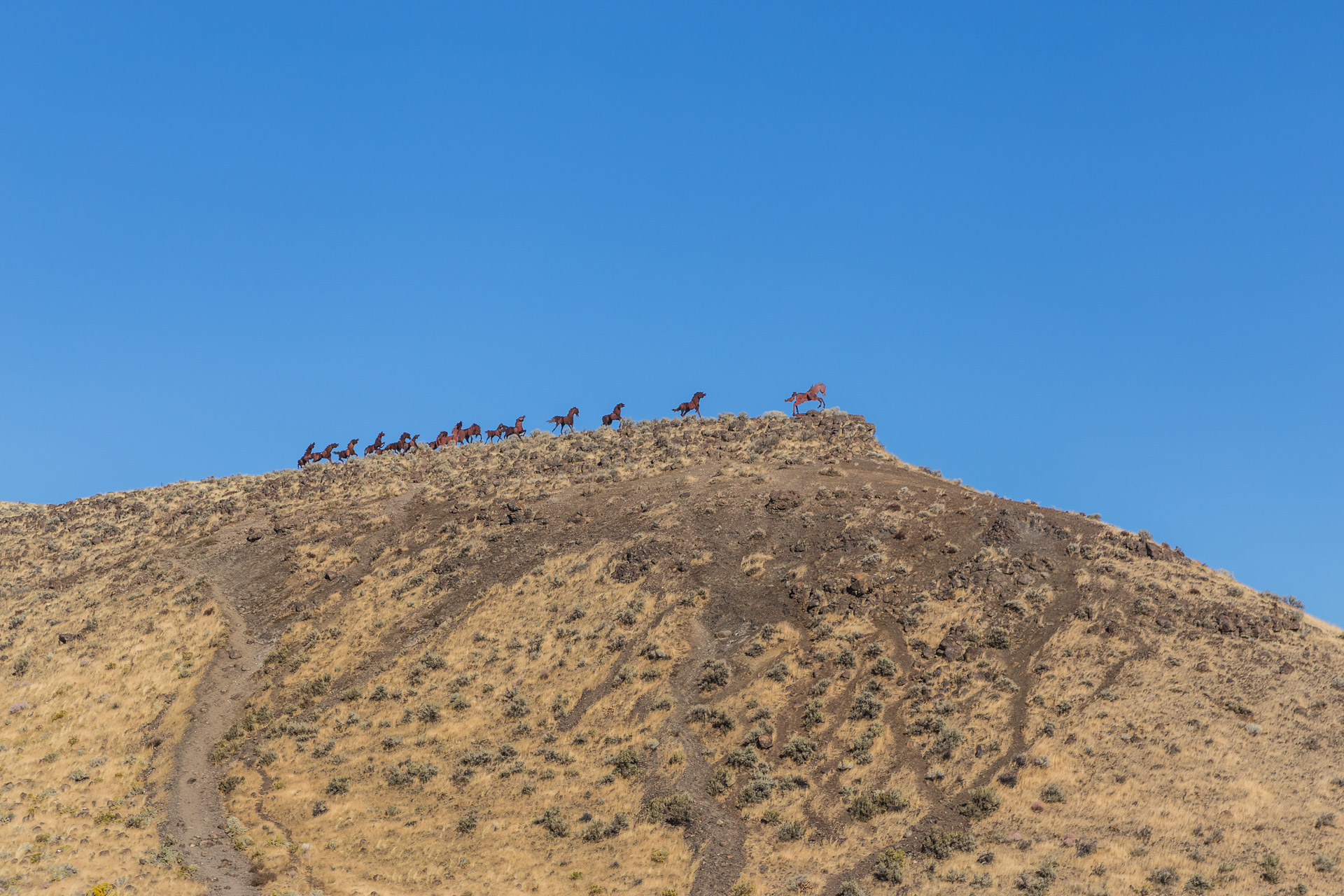 The Wild Horses Monument In Eastern Washington