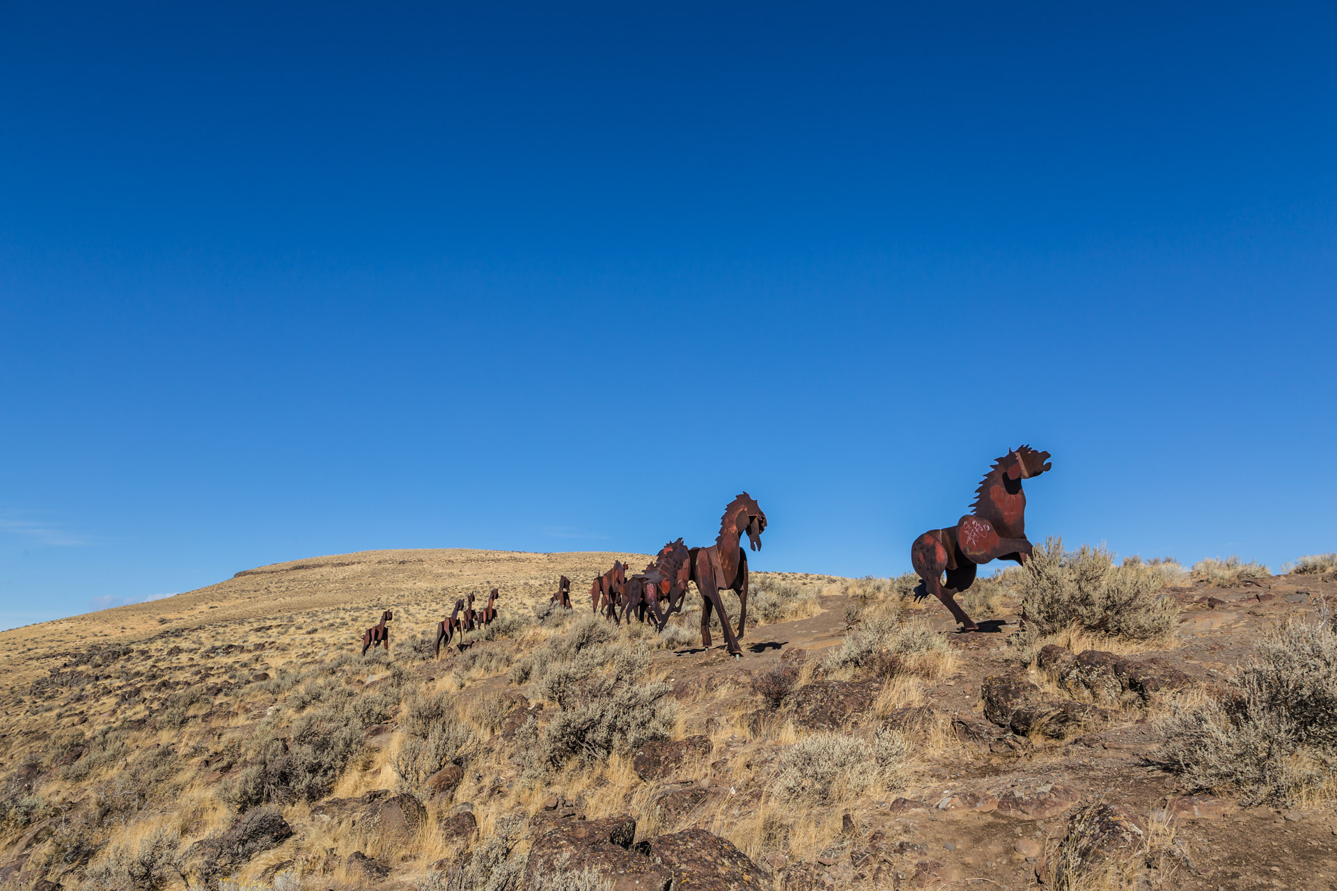 Wild Horses Monument (6)