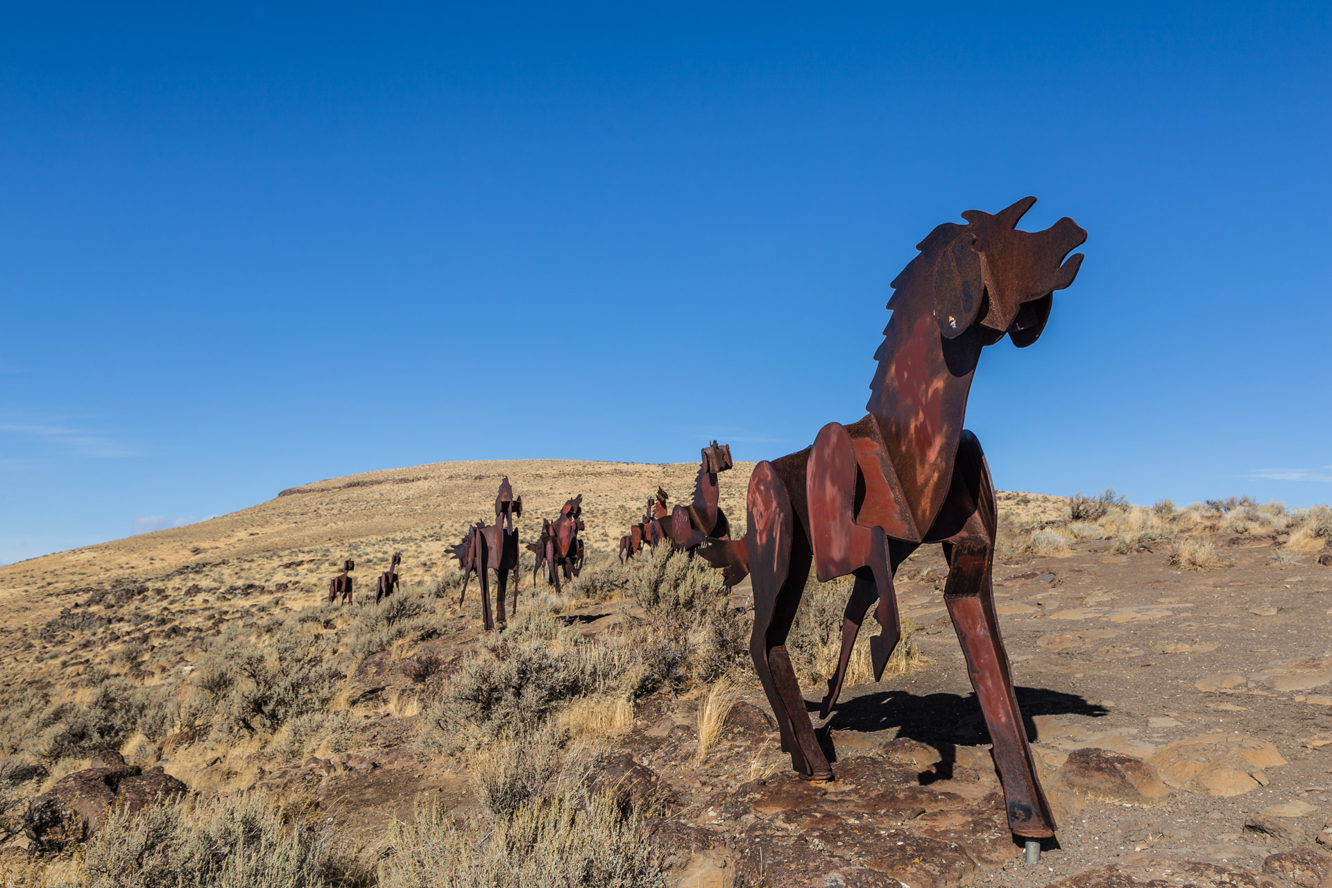 Wild Horses Monument (7)