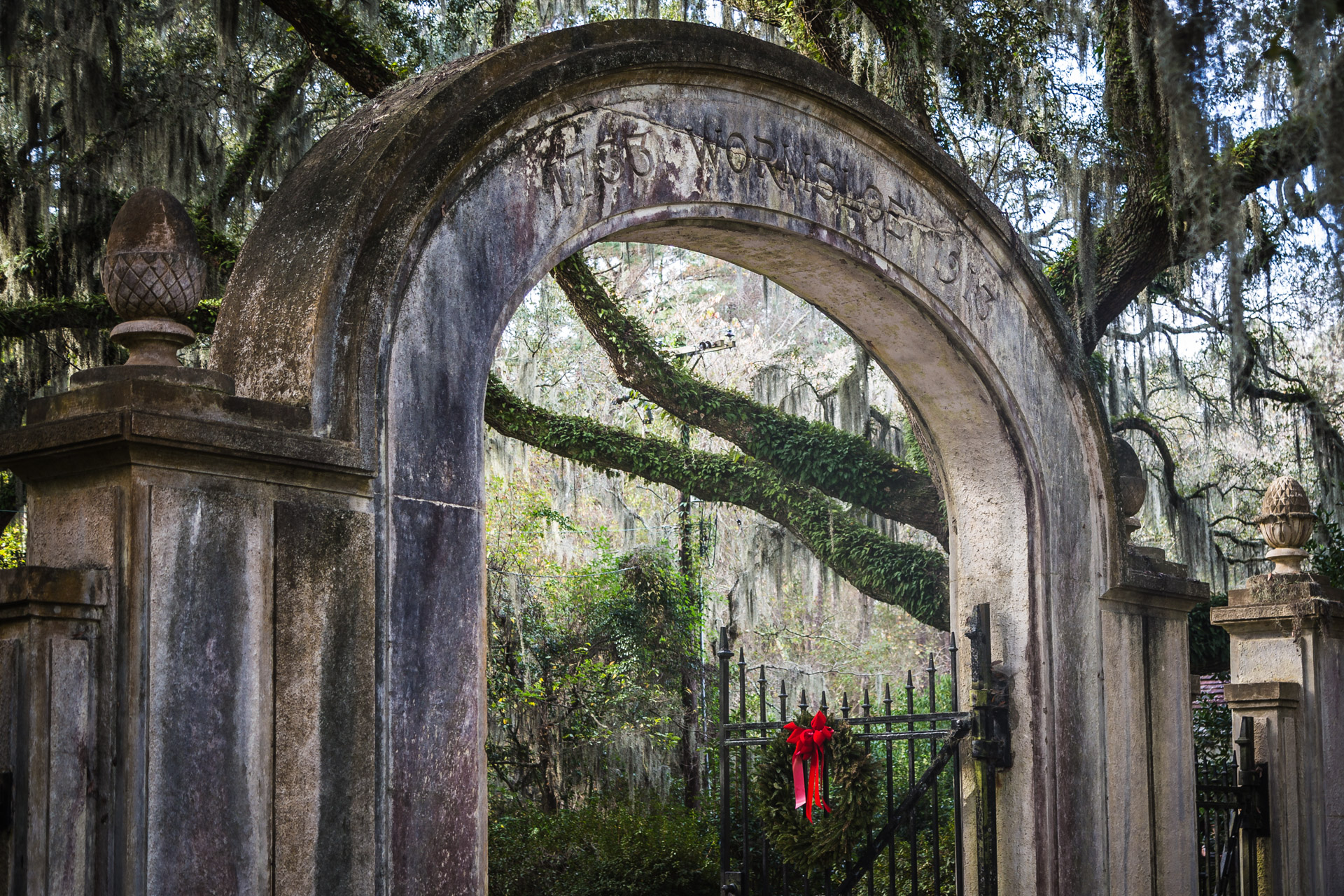 Unexpected Solitude At Wormsloe