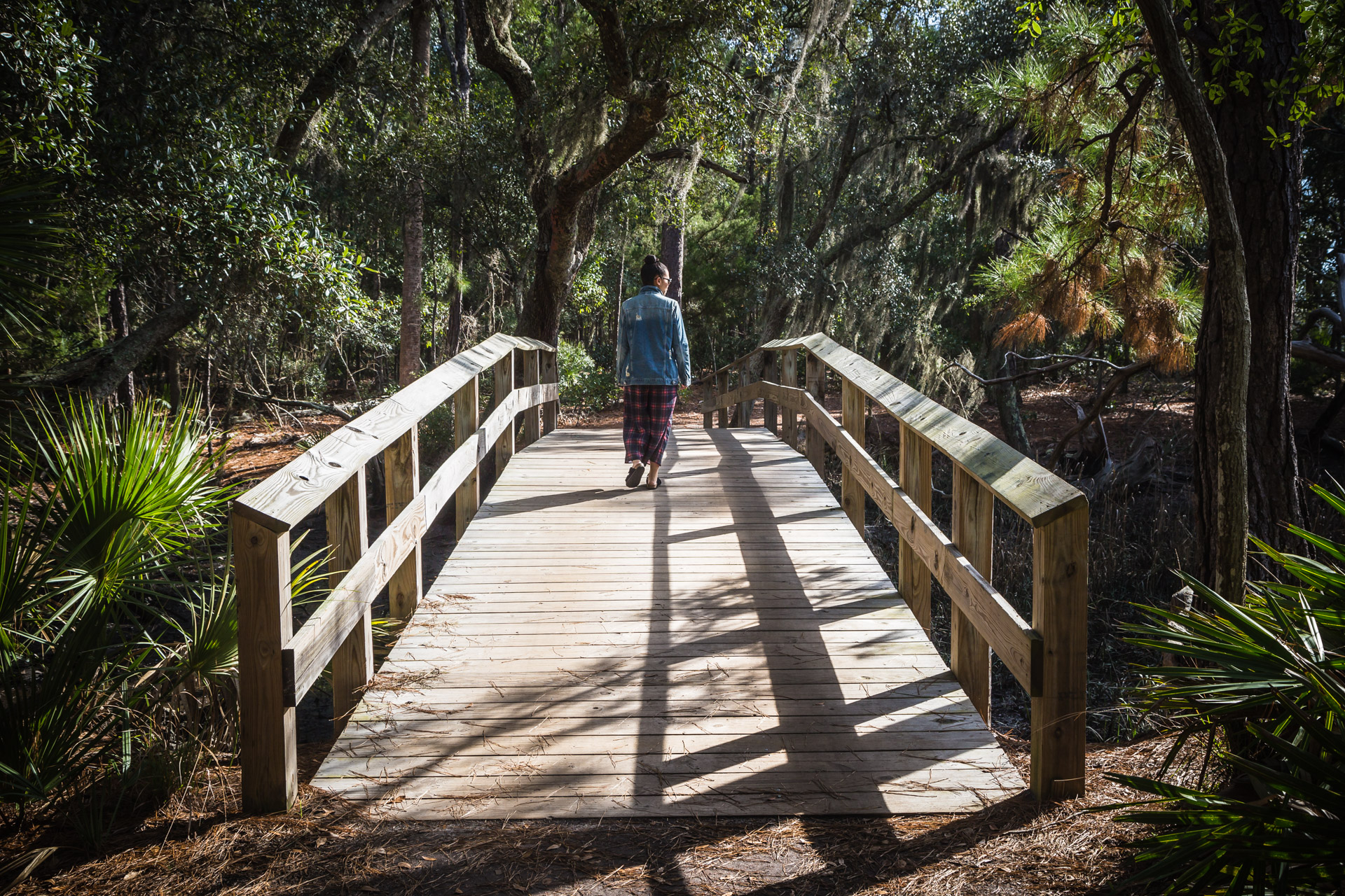 Unexpected Solitude (bridge shadow)