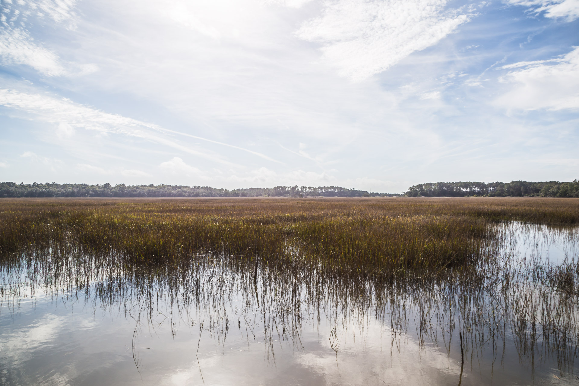 Unexpected Solitude (water view)