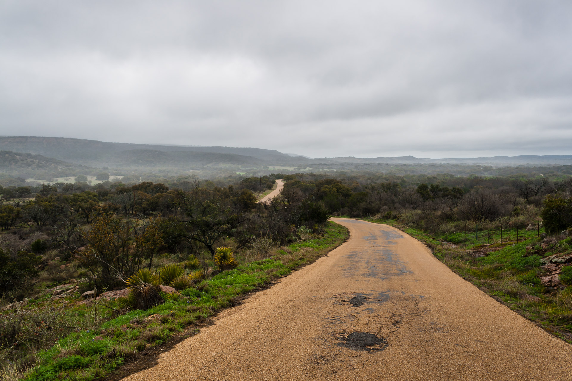 Which Road Would You Explore?