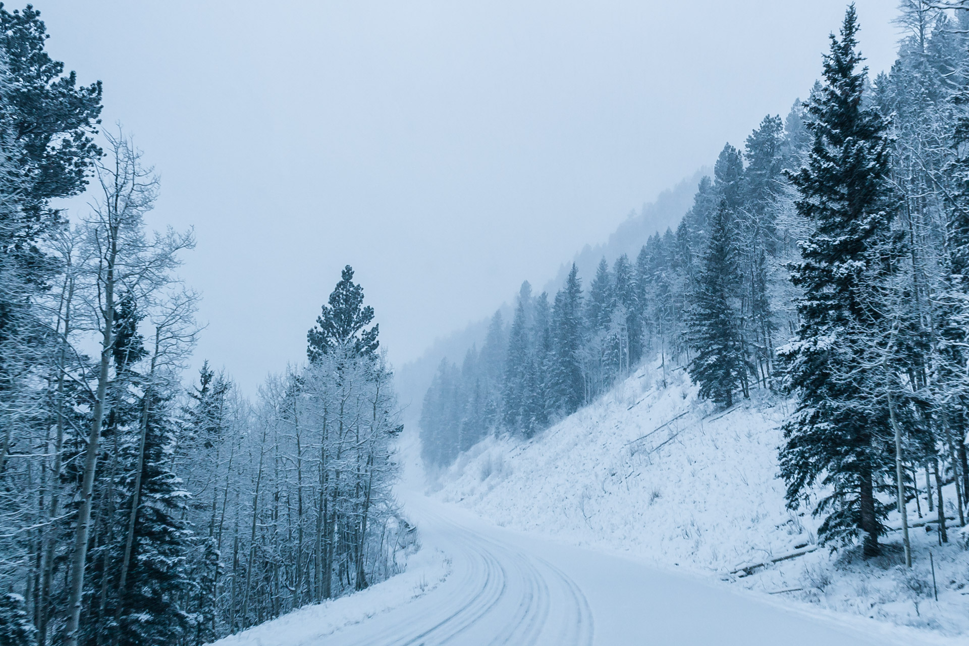 Which Road (winter)